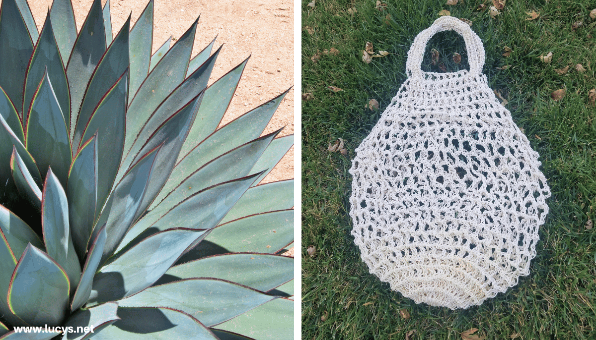 From Odd to Chic - 33 Unusual Items Transformed Into Eye-Catching Fashion 23 Agave Plant & Bag made with Agave Fibers