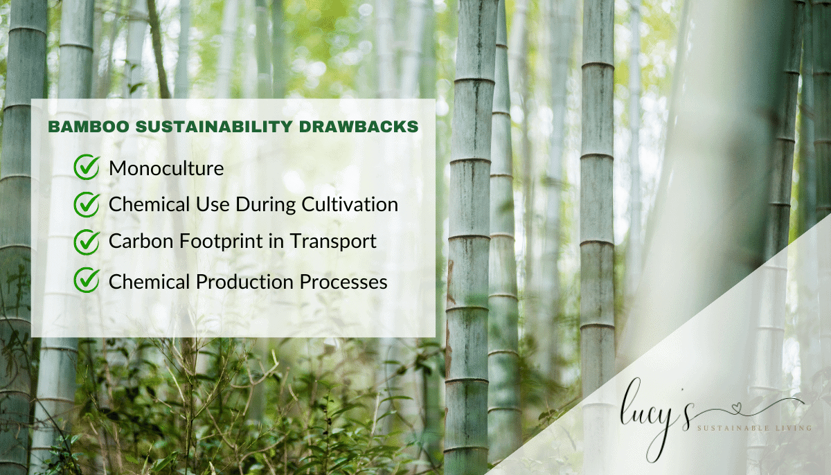 Bamboo Sustainability Drawbacks