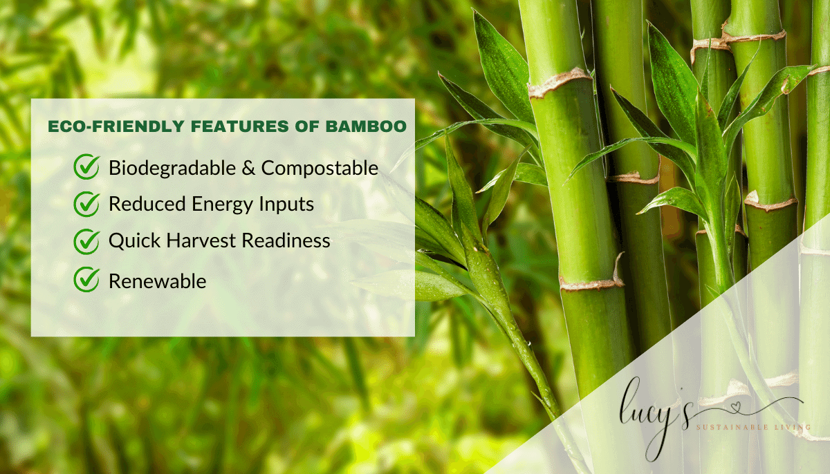 Bamboo’s Eco-Friendly Features