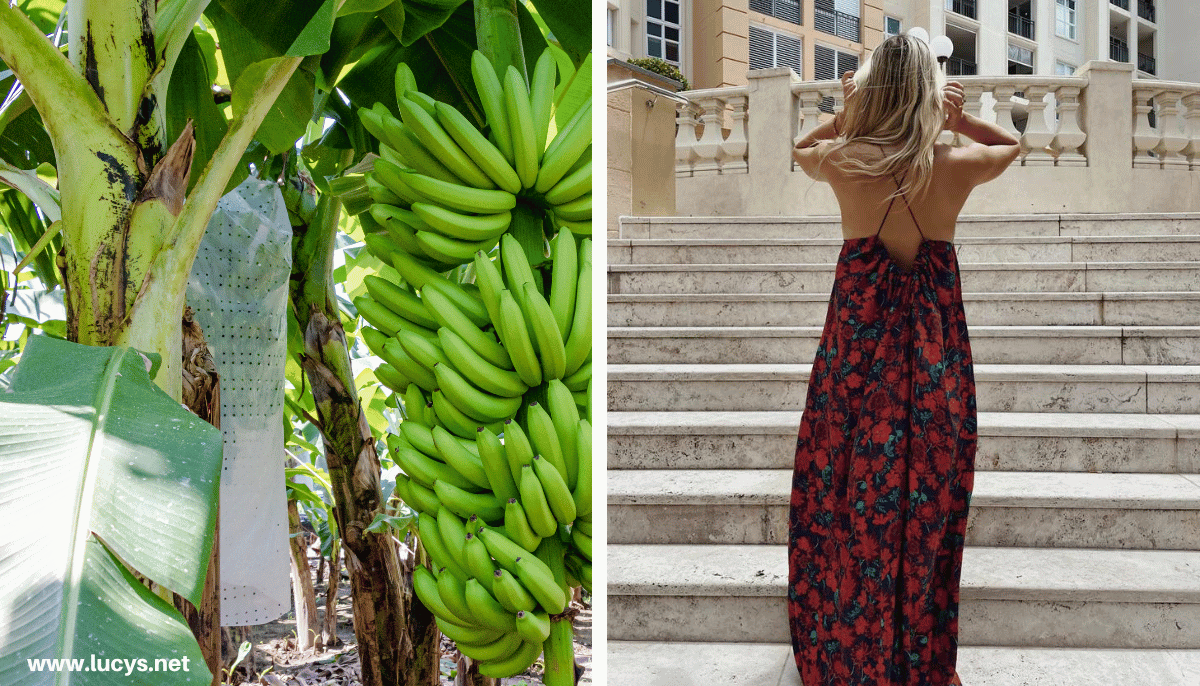 From Odd to Chic - 33 Unusual Items Transformed Into Eye-Catching Fashion 8 Banana Plant & Dress made with Banana Fiber