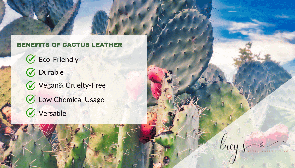 What is Cactus Leather? Exploring Its Journey from Desert to Wardrobe and Its Role in Sustainable Fashion 4 Benefits of Cactus Leather
