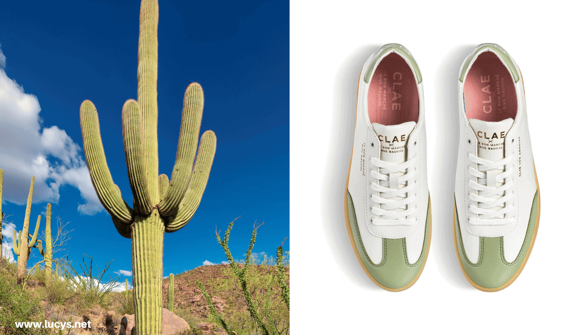 From Odd to Chic - 33 Unusual Items Transformed Into Eye-Catching Fashion 30 Cactus Plant & Shoes made with Cactus Fiber