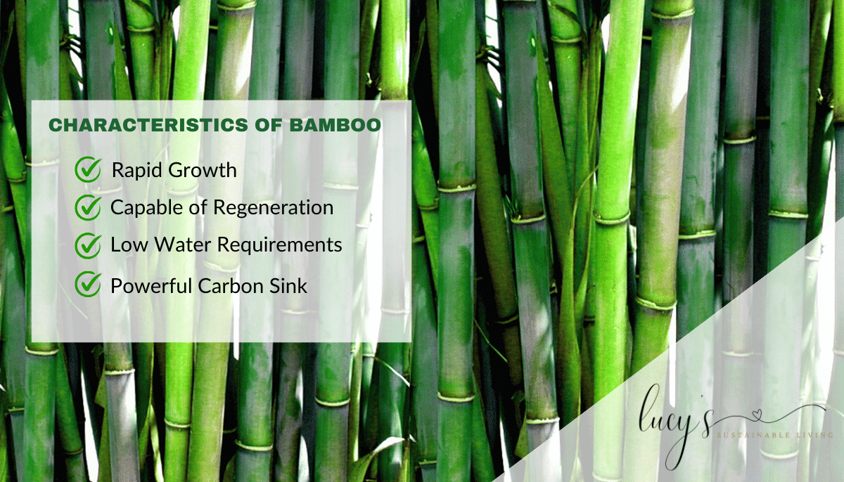 Characteristics of Bamboo