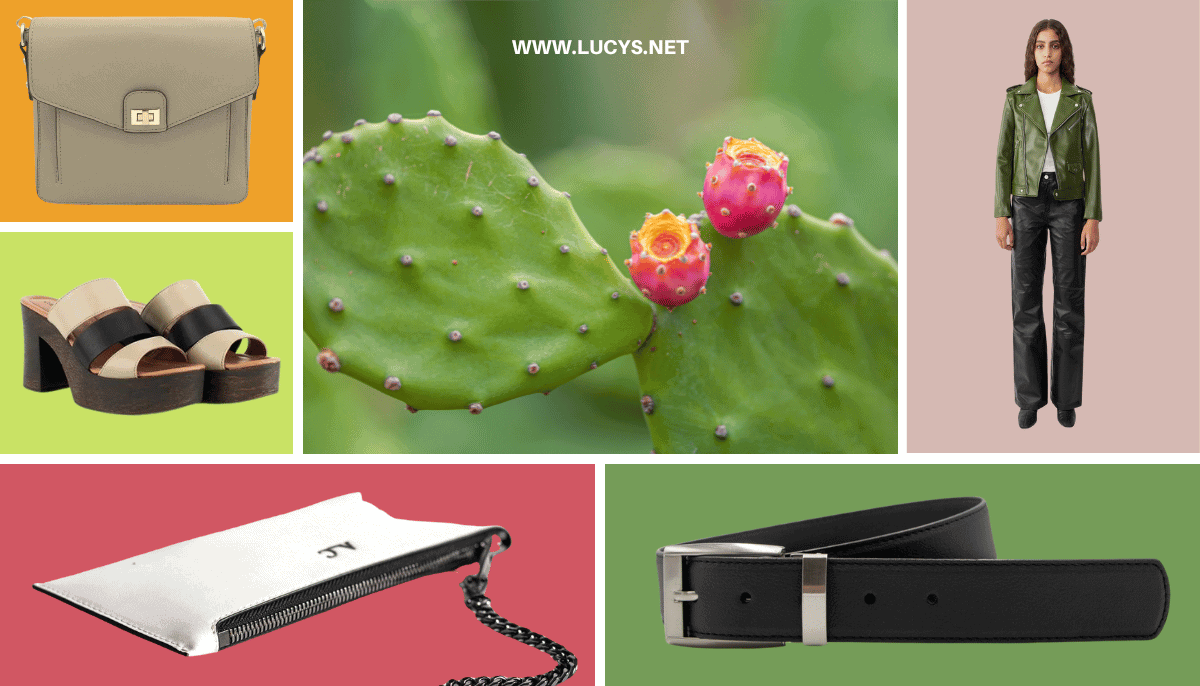 What is Cactus Leather? Exploring Its Journey from Desert to Wardrobe and Its Role in Sustainable Fashion 7 Fashion Items Made from Cactus Leather