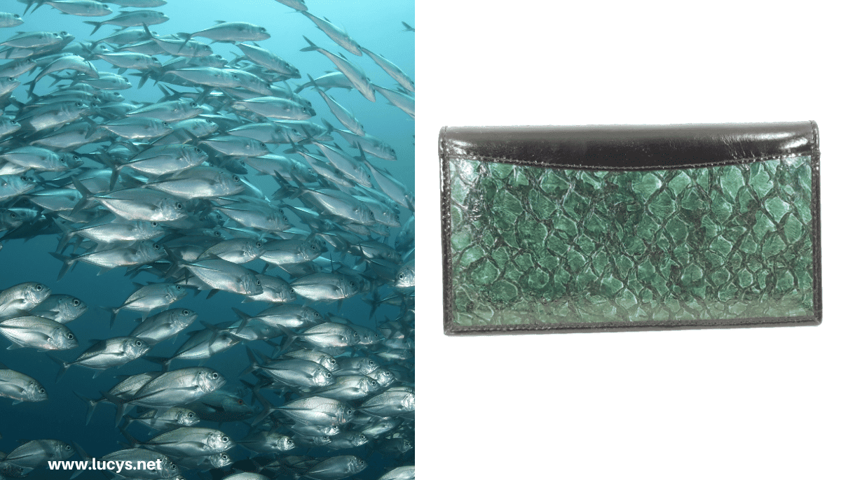 From Odd to Chic - 33 Unusual Items Transformed Into Eye-Catching Fashion 5 Fish & Purse Made with Fish Skin Leather
