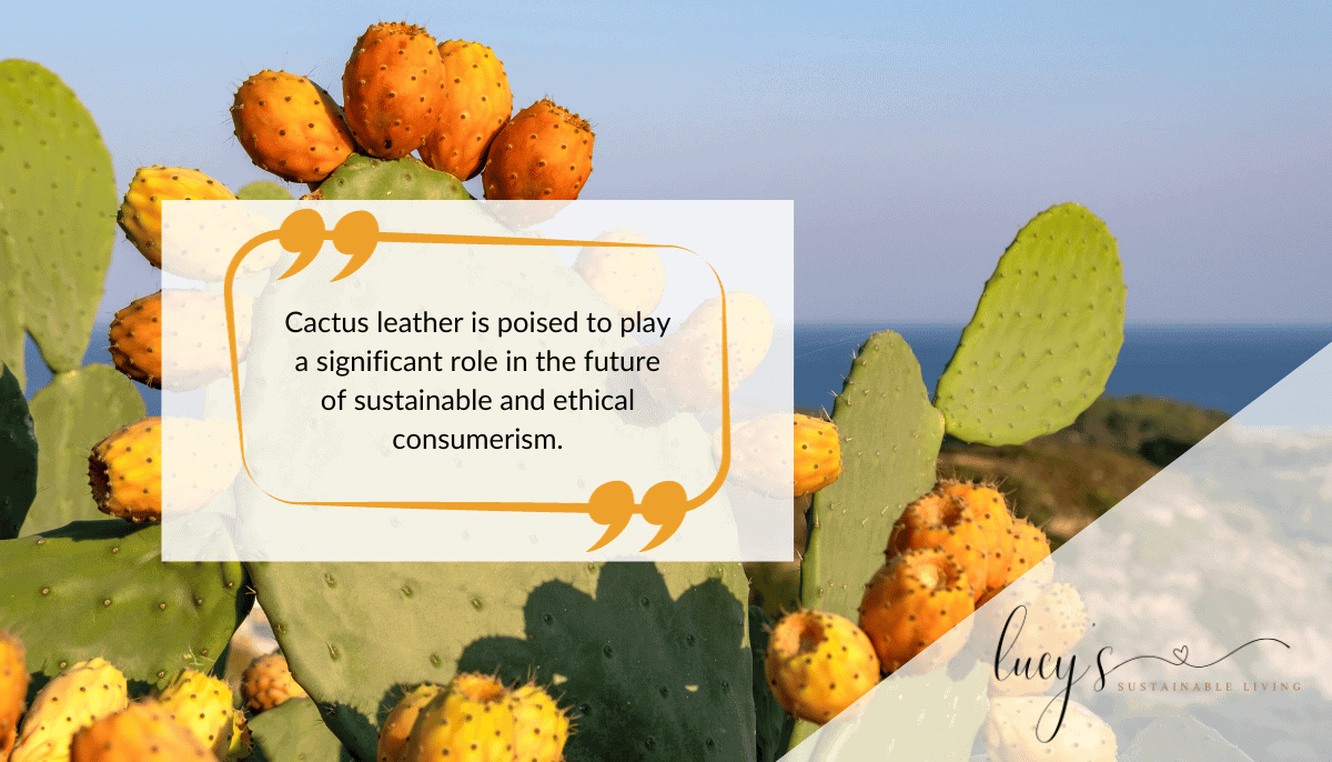 What is Cactus Leather? Exploring Its Journey from Desert to Wardrobe and Its Role in Sustainable Fashion 6 Future of Cactus Leather