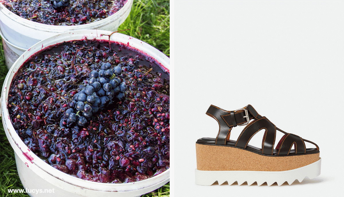 From Odd to Chic - 33 Unusual Items Transformed Into Eye-Catching Fashion 18 Grapes & Shoe made of Wine Leather