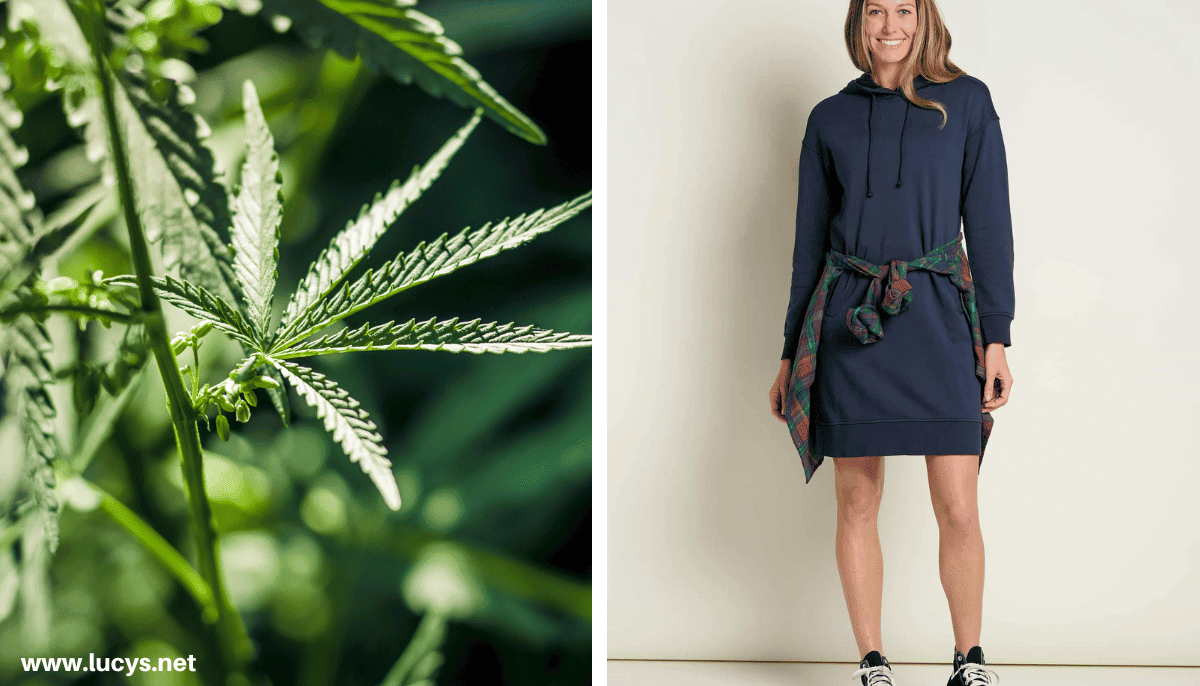 From Odd to Chic - 33 Unusual Items Transformed Into Eye-Catching Fashion 16 Hemp Plant & Hemp Dress