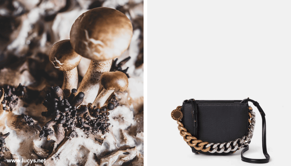 From Odd to Chic - 33 Unusual Items Transformed Into Eye-Catching Fashion 4 Mushrooms and bag made with Mushroom leather