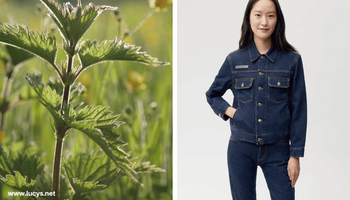 From Odd to Chic - 33 Unusual Items Transformed Into Eye-Catching Fashion 7 Nettles & Jacket made with Nettle Fiber