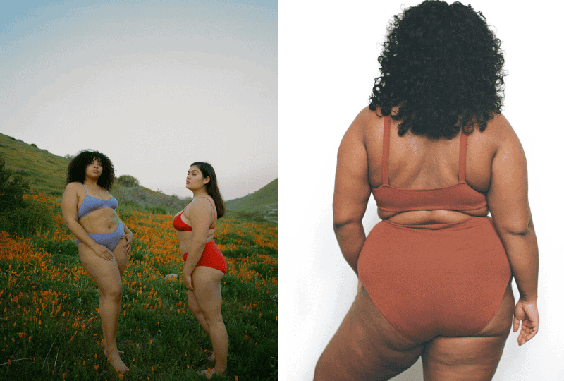 14 Plus Size Sustainable Lingerie Brands in 2024 Celebrating Curves with Eco-Conscious Style 7 Pansy Plus Size Lingerie