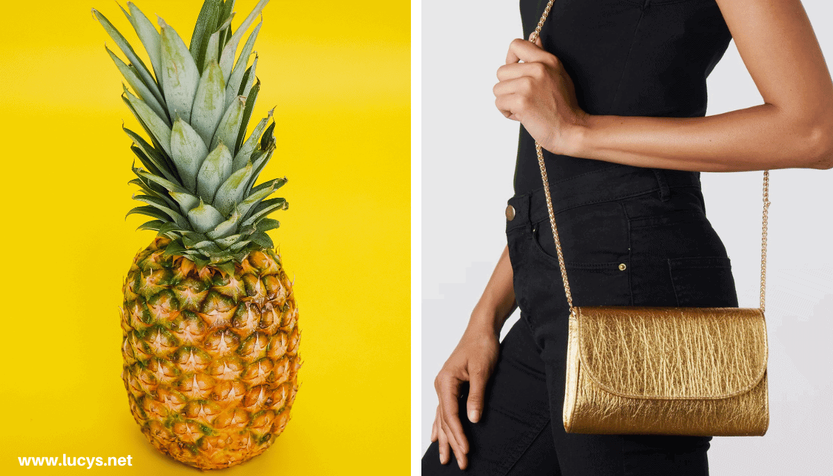 From Odd to Chic - 33 Unusual Items Transformed Into Eye-Catching Fashion 2 Pineapple and Bag made with Pineapple Leather