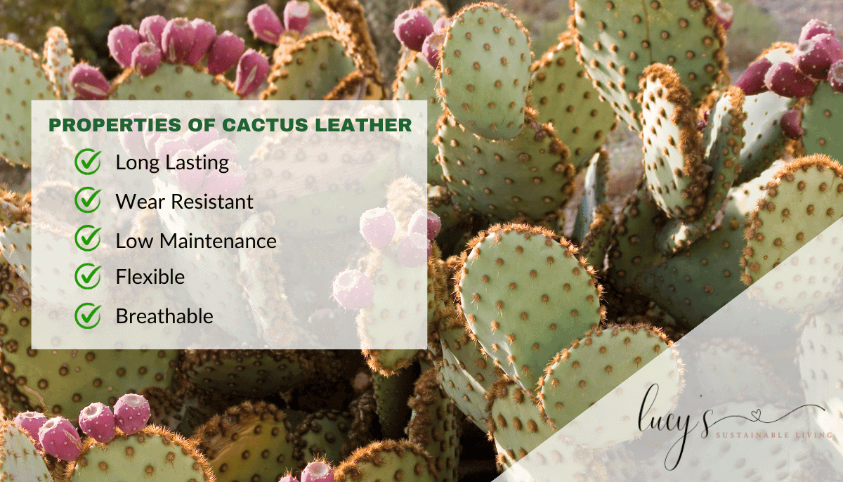 What is Cactus Leather? Exploring Its Journey from Desert to Wardrobe and Its Role in Sustainable Fashion 3 Properties of Cactus Leather