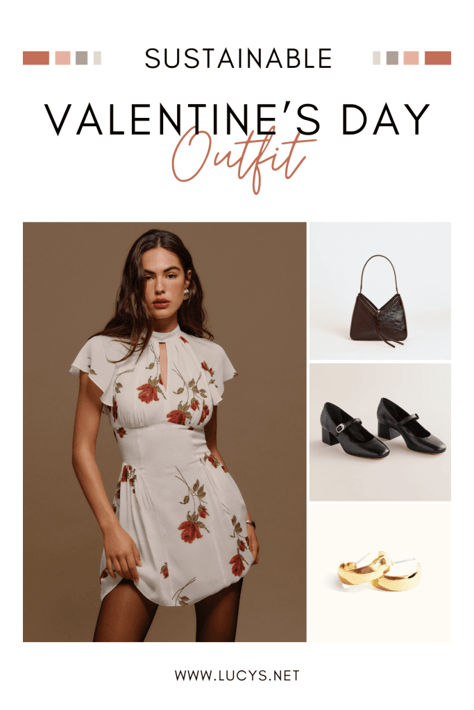 Rose Reverie Valentine's Day Outfit