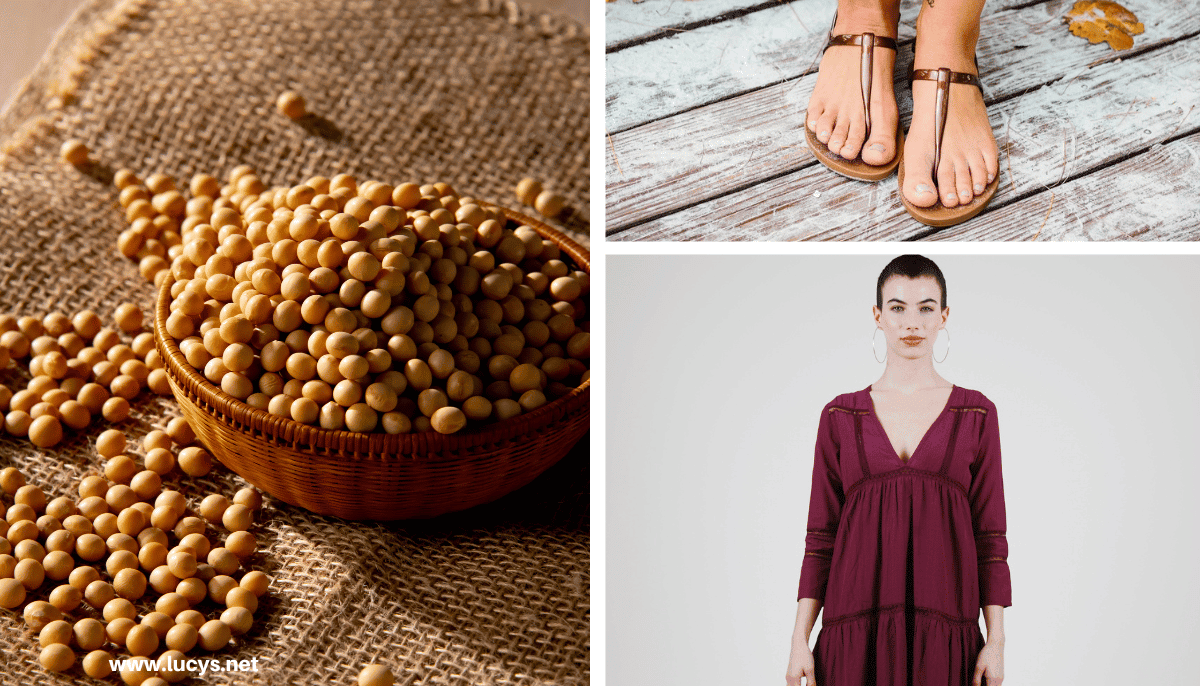 Soybeans & Dress & Shoes made with Soybean Fiber